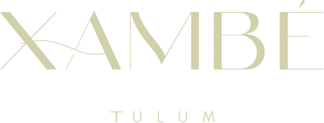 Xambe-logo-footer